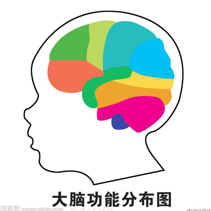 北京金豆豆幼儿园招聘：寻找未来教育的守护者
